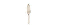16 - Cake trowel Stile Champagne Ice