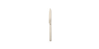 36 - Steak knife Stile Champagne Ice
